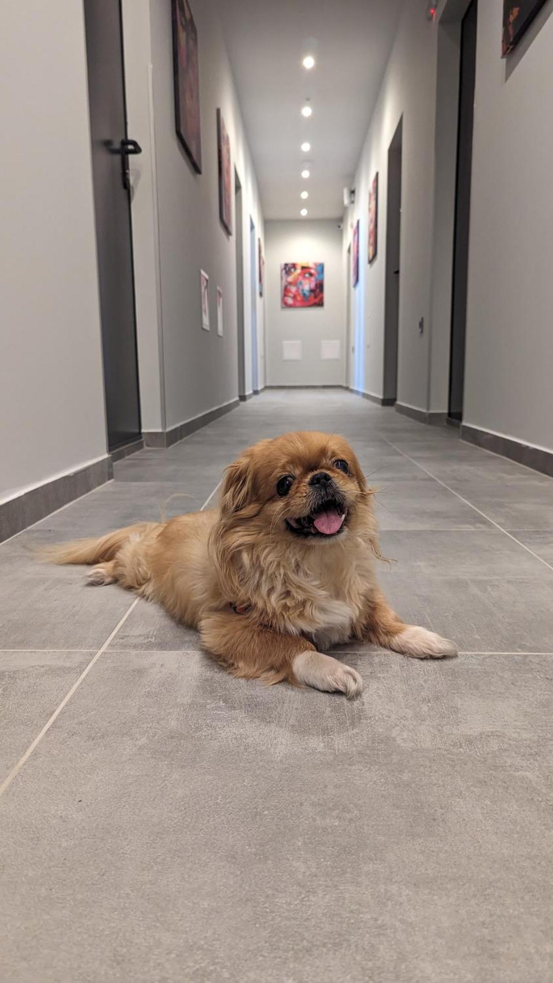 Dorm Bg Pet-Friendly Aparthotel Stara Zagora Extérieur photo